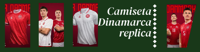 camiseta Dinamarca 2024 2025 replica